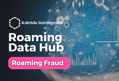 Roaming Data Hub 2024: Roaming Fraud