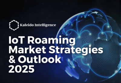 IoT Roaming Market Strategies & Outlook 2025