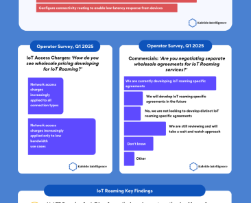 IoT Roaming Infographic 2025