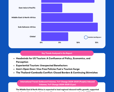 Travel Infographic (7)