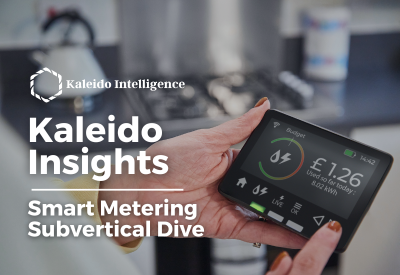 Kaleido Insights: Smart Metering Subvertical Dive