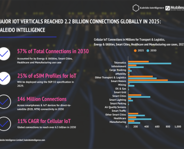 connectivity-data-hubmarket-snapshotkaleido2025small